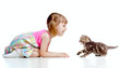 funny child playing and bringing up Scottish kitten