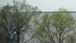 Lake view from the window of high-speed train