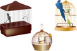 parrots in cages isolated on white parrots in cages isolated on white
