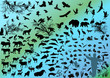 different animals silhouettes on light background different animals silhouettes on light background