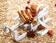 Christmas sledge