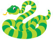 green striped snake