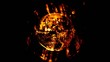 Mother Earth takes off from fire