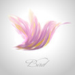 Shiny lavender striped hummingbird. Vector illustration.