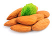 Almond nuts group