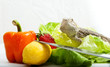 Bartagame mit Obst und Gemüse III
