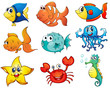 Fish collection