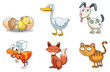 Group of animals