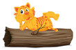 Tiger on a log