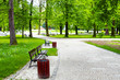 Avenue in the green park