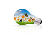 Light bulb and fresh spring green grass with butterfly