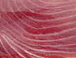 tuna fish steak