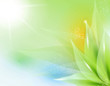 Summer or spring vector illustration