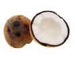 coconut