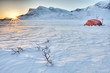 on a Winter Expedition