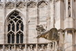 Gargouille del Duomo di Milano