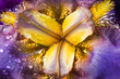 German Iris or Iris germanica