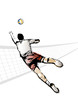 The Volleyball Player