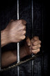 Hands of the prisoner