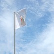 Japanese flag