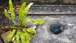 Water draining and swirling