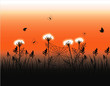 Vector: A silhouette of grass on an orange background A silhouette of grass on an orange background