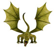 green dragon front attack