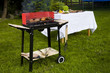 Barbecue in the garden, really tasty dinner!
