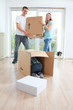 Foto: Versteckspiel im Karton Versteckspiel im Karton