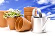 Flowers and garden tools on sky background