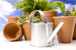 Flowers and garden tools on sky background