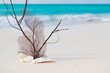beach and sea concept