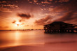 sunset in harbor