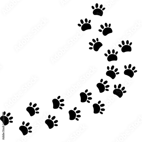 Illustration: animal walk print animal walk print