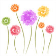 Dandelion flowers. Watercolor