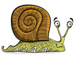 Funny cartoon snail, vector. Funny cartoon snail, vector.