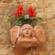 terracotta flowerpot with angelic relief and Salvia flowers terracotta flowerpot with angelic relief and Salvia flowers