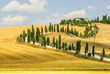Old farm in Val d'Orcia (Tuscany)