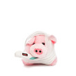 krankes schwein