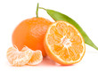 fresh mandarin