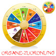 organuhr - zeit und bedeutung