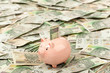 Paper money from poland to use in business Paper money from poland to use in business