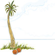 Illustration of palm tree in island, vector. Illustration of palm tree in island, vector.