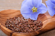 Leinsamen, Linum, makro