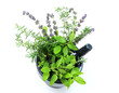 Fresh Herbs with Mortar Pestle