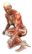 muscle woman croshed muscle woman croshed