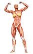 muscle woman victory muscle woman victory