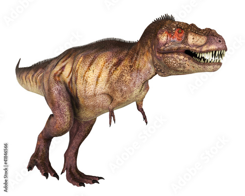 Illustration: tyranosaur red face walking tyranosaur red face walking