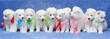 Ten fluffy Samoyed (or Bjelkier) puppies with colored ribbons