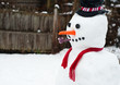 Snowman